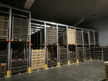 IMG_20250213_121141